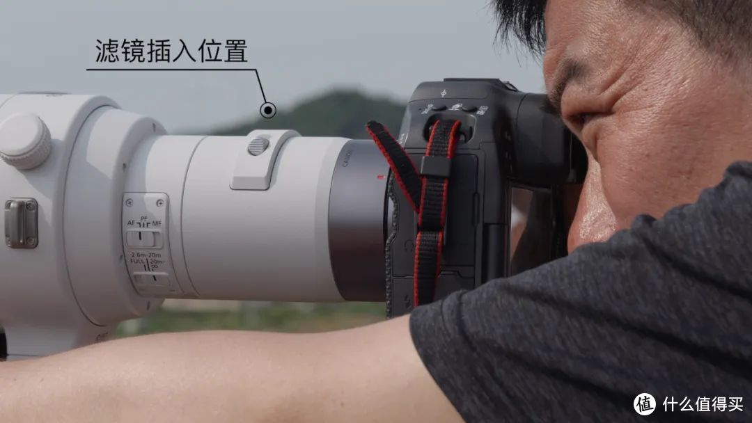 佳能RF800mm F5.6，接近6位数的大炮实力如何？