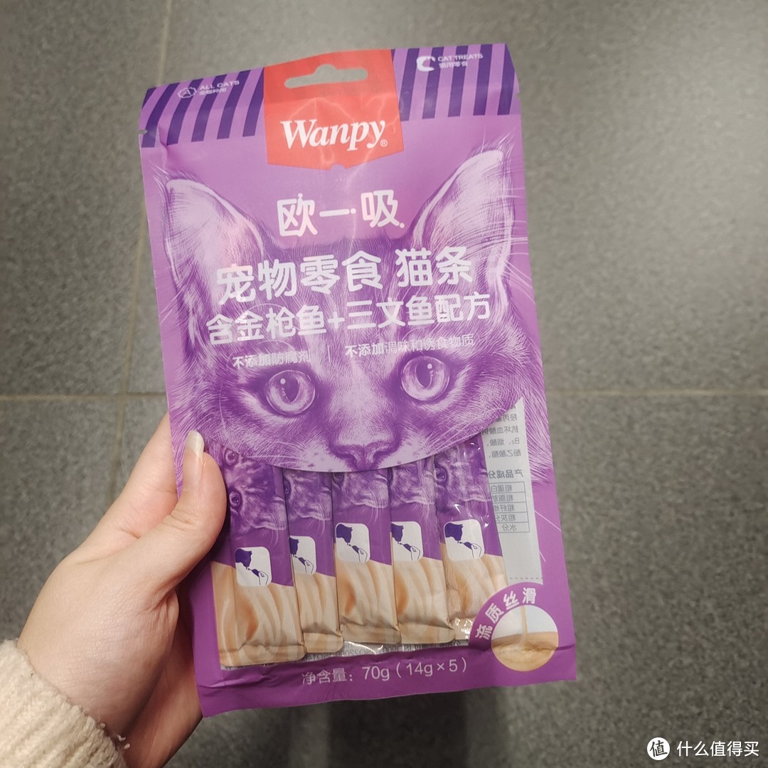 顽皮猫超级喜欢的宠物小猫条