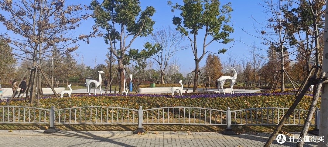 城市多彩森林，浦东张江锦绣文化公园/坐落在浦东图书馆旁边的一个大型公园/运动跑步好去处