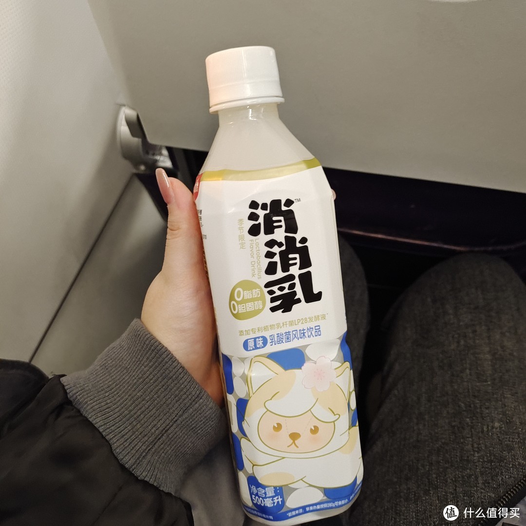 超好喝的乳酸菌风味饮料