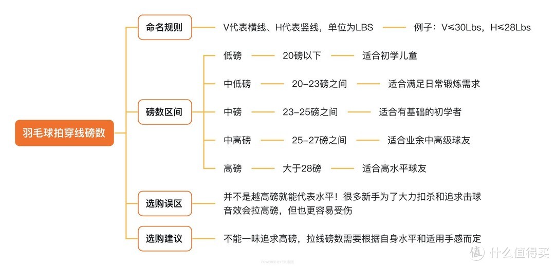 孩子想学羽毛球，该如何选择合适的羽毛球拍？