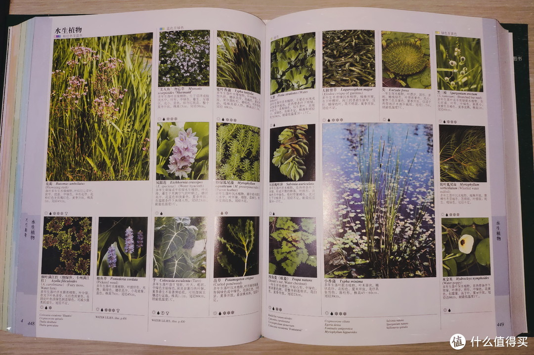 外行看热闹的植物百科全书——《DK世界园林植物与花卉百科全书》