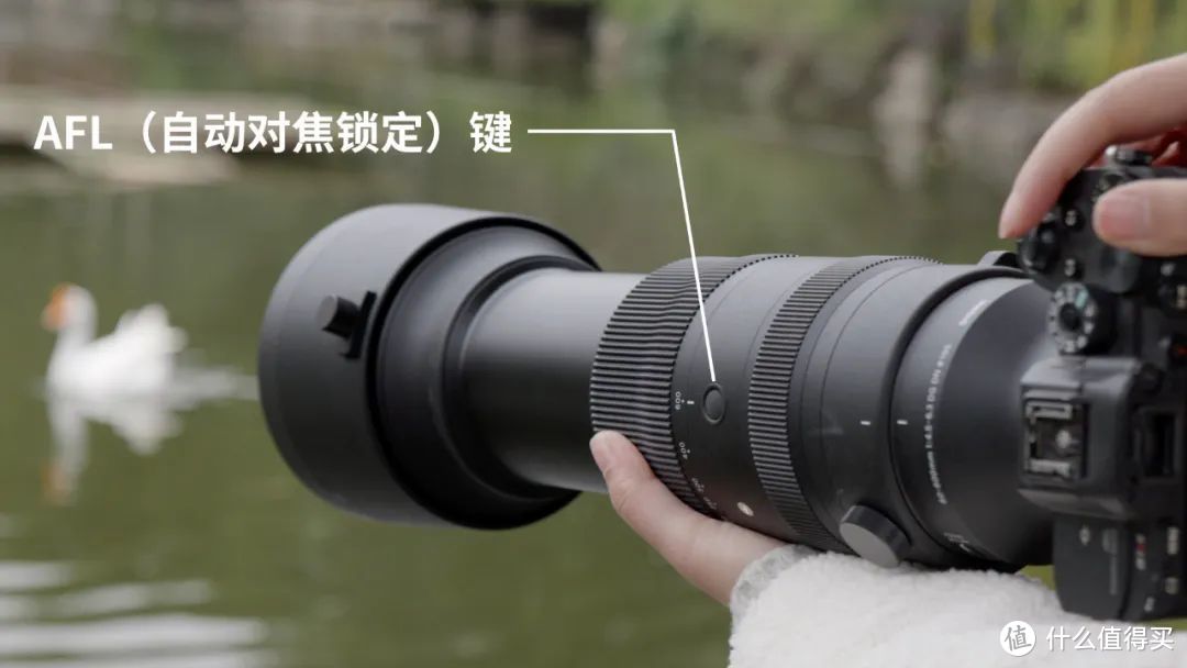 适马60-600mm F4.5-6.3，拿得稳、追得上焦的超长10倍变焦微单头！