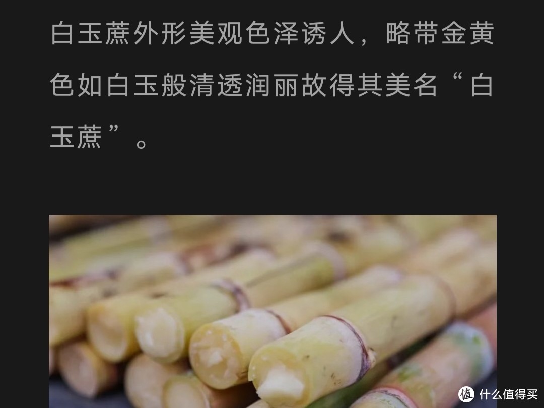 甘蔗算不算水果？冬天少不了/鲜香黄甘蔗/广西白玉甘蔗黄皮/当季新鲜水果清甜可口/红绿黄甘蔗