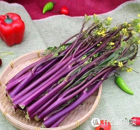 春节期间的一道解腻佳菜一一紫菜苔