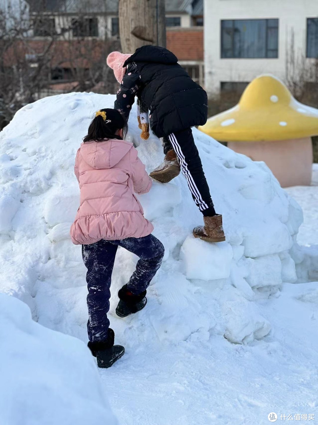 玩雪