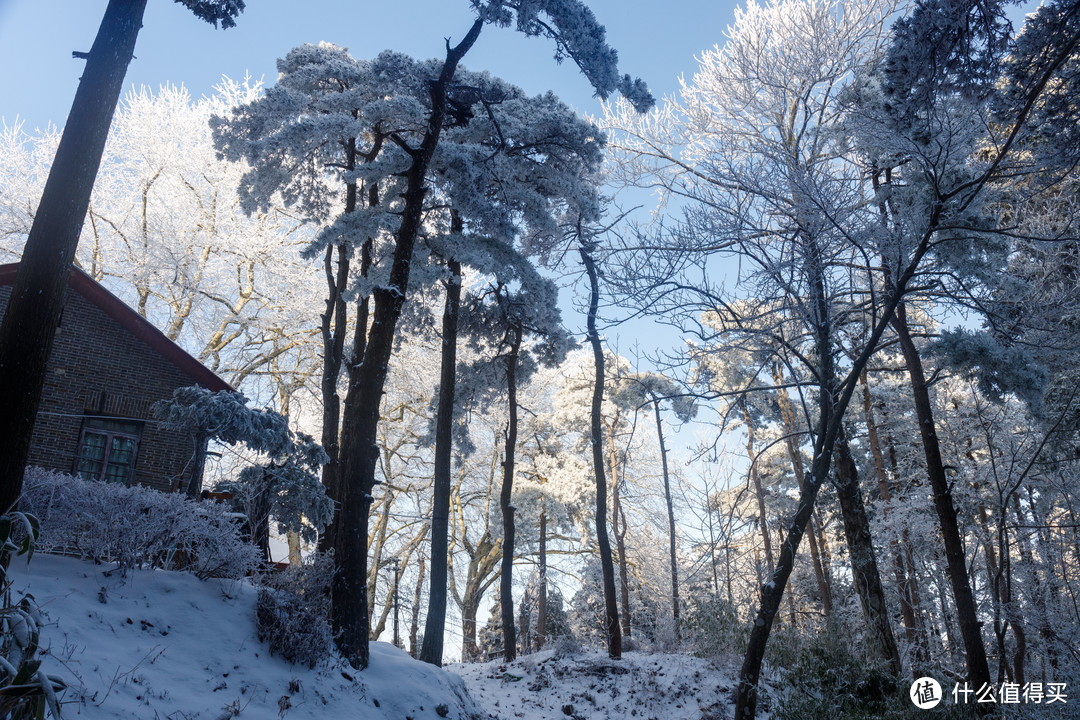 为什么半年我去了两次庐山