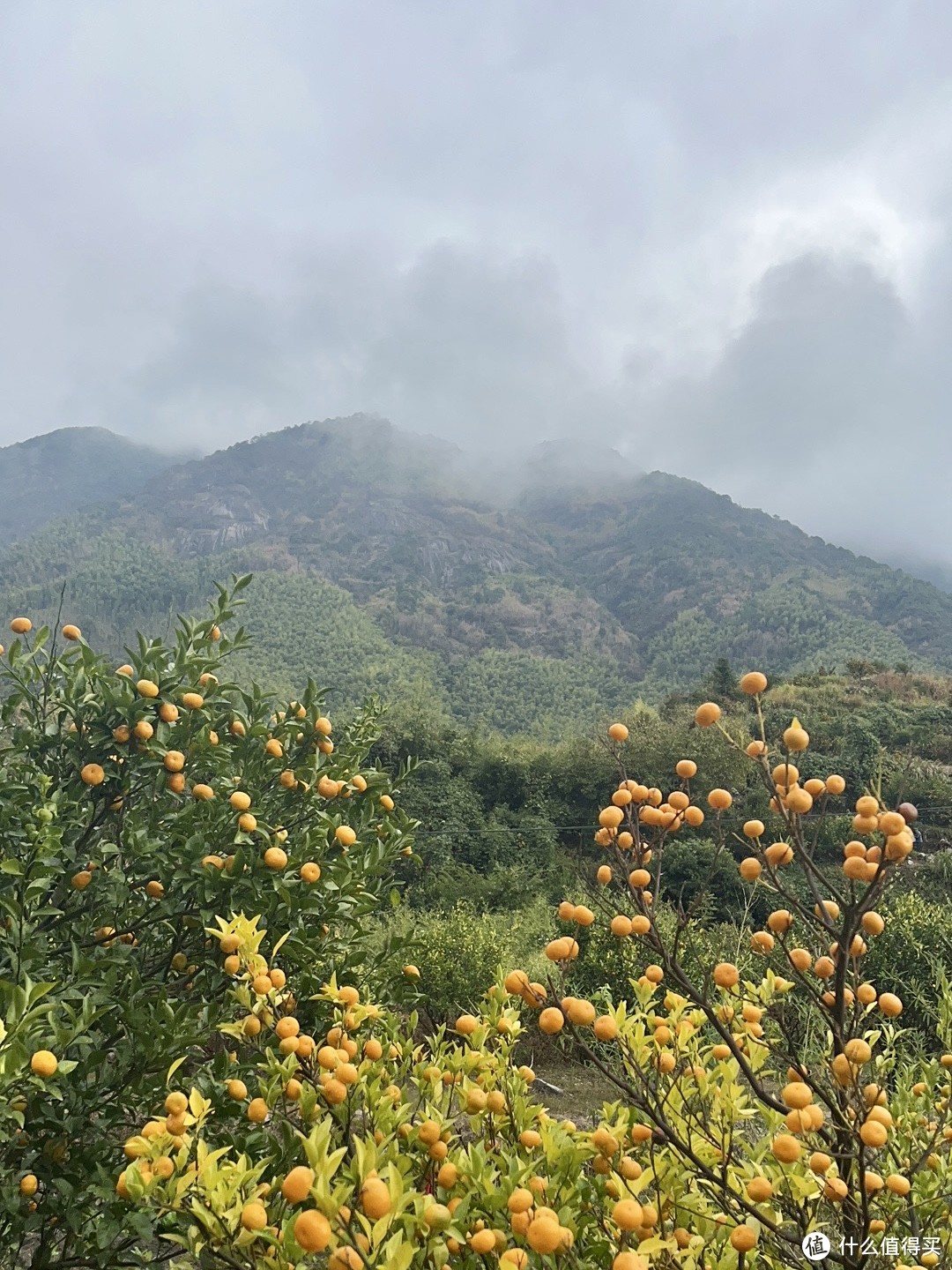 ​江西十大高峰之十，赣东屋脊军峰山，烟波缥缈隐险峰