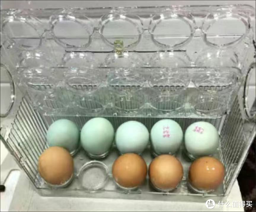 冰箱里面存放鸡蛋的塑料架子。