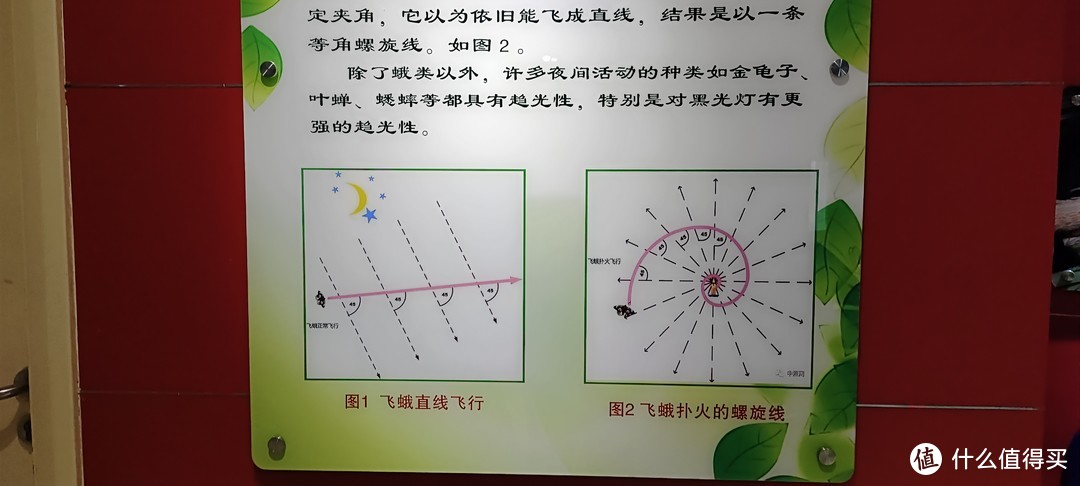 上海中科院上海昆虫博物馆开馆首日/第1天就过来了/上海市科普教育基地、全国青少年走进科学