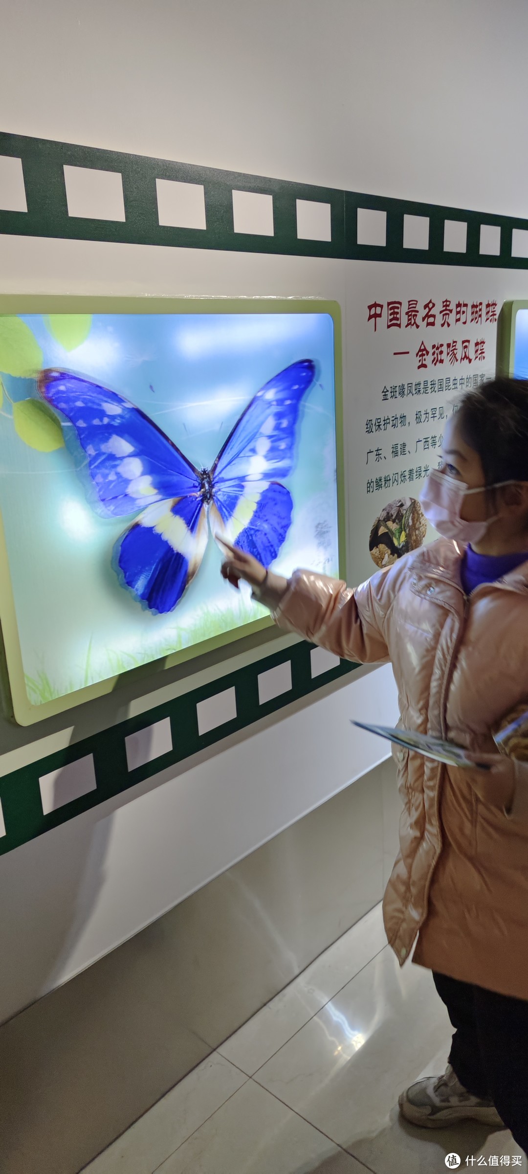 上海中科院上海昆虫博物馆开馆首日/第1天就过来了/上海市科普教育基地、全国青少年走进科学