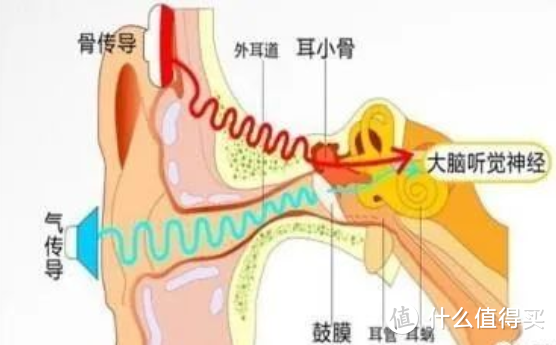 有什么性价比高的运动蓝牙耳机值得推荐？