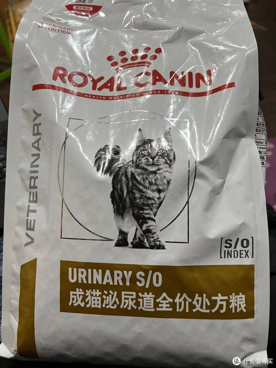 说说小猫看病那些事儿