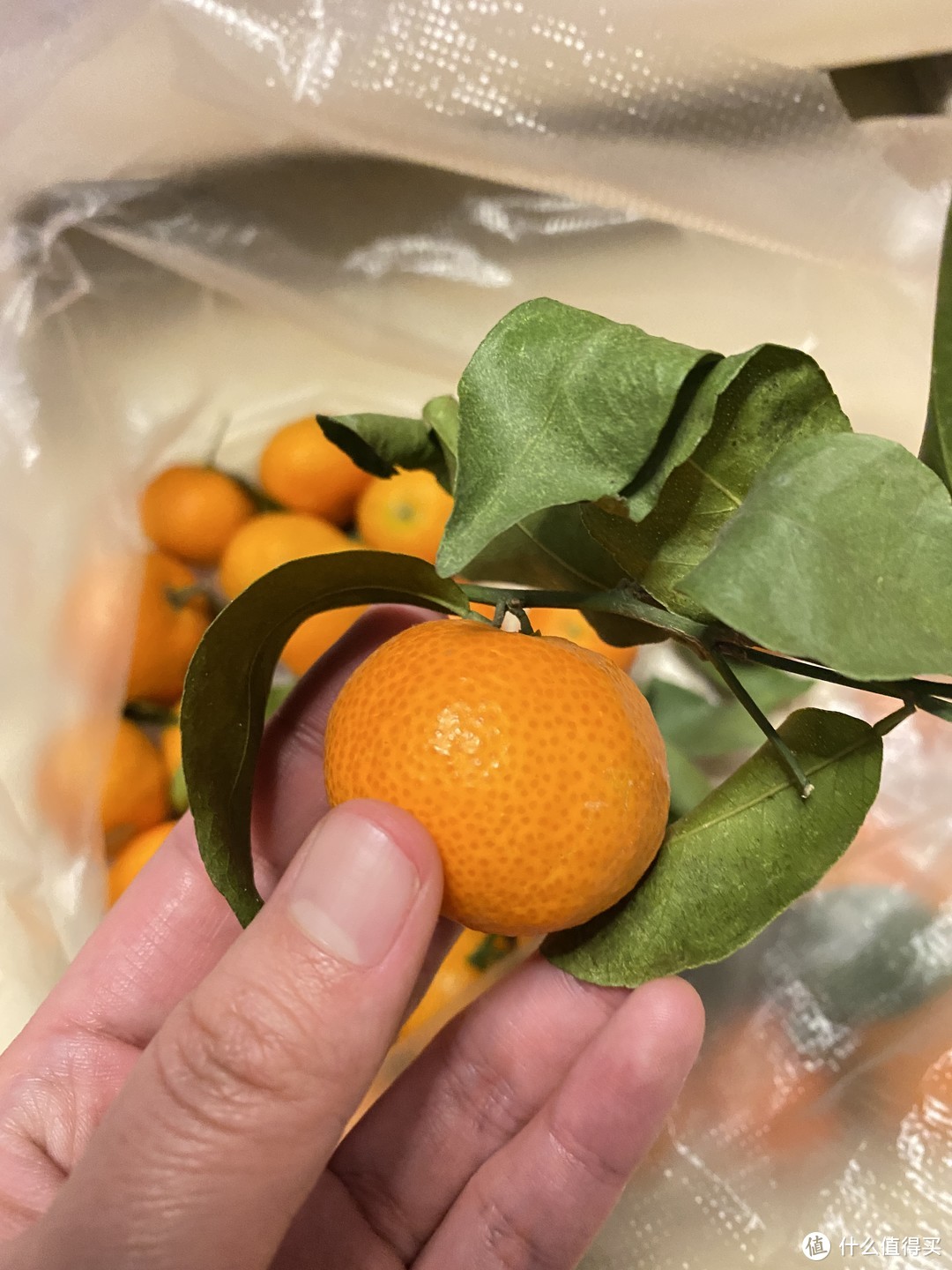 今年过年为什么没人炫砂糖橘了？它明明这么好吃！