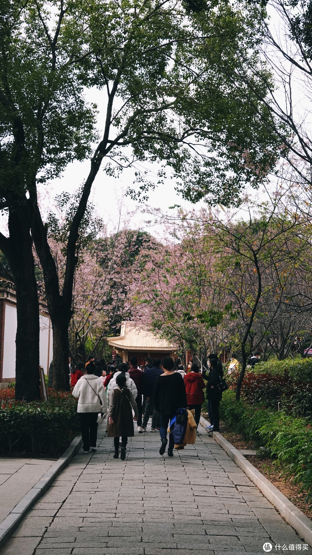 春节年初四——年初七三天游泉州流水账