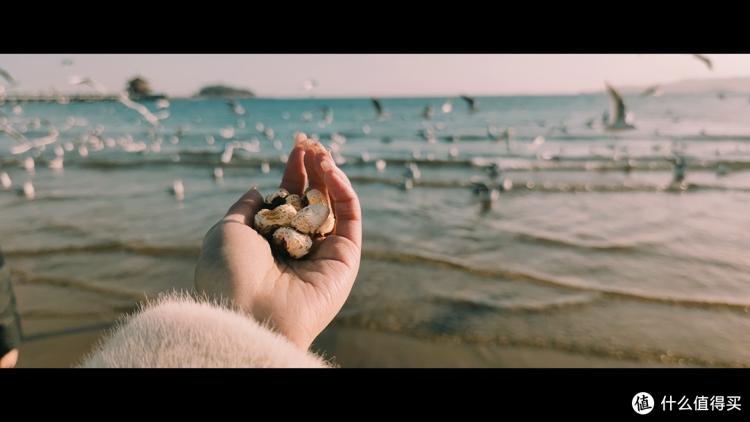 春天来临之前，一定要去一次青岛~