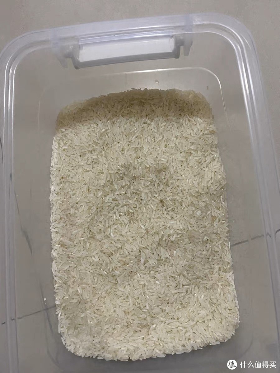 大米油粘米长粒米台山丝苗米