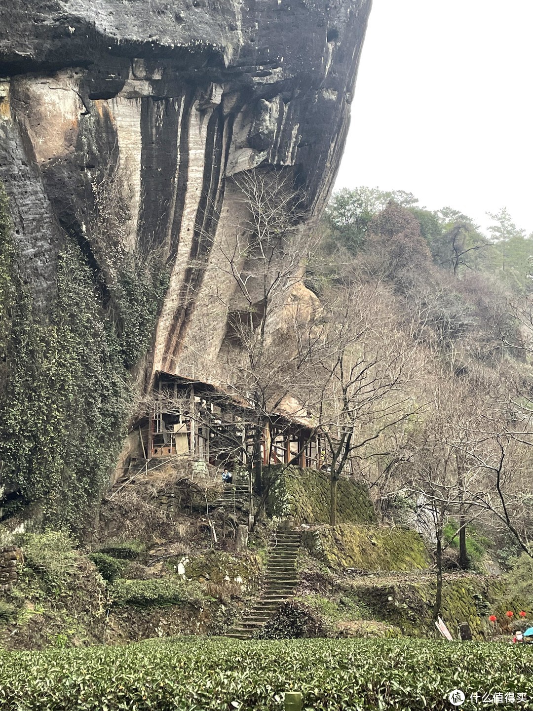 人从众的免票武夷山玩几天适合？