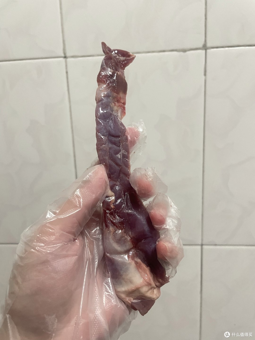 宠物生骨肉篇|新西兰银蕨鹿肩肉