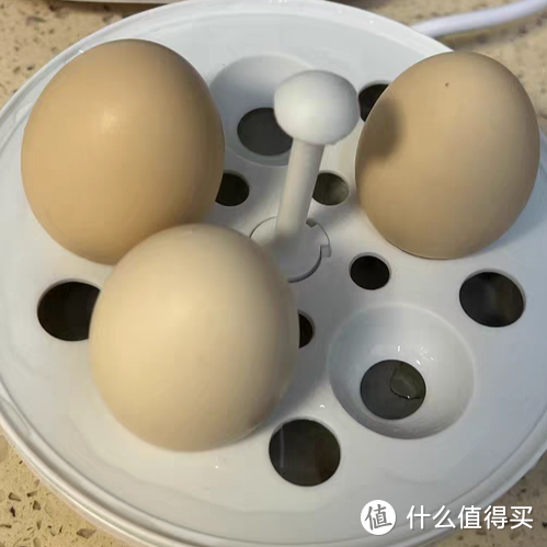 小小煮蛋器，补充营养好帮手