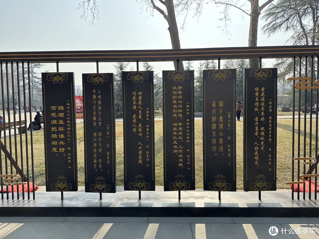 2023春节期间的西安兴庆宫公园