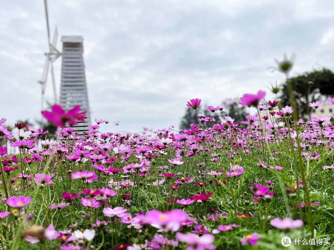 春节期间去深圳玫瑰海岸逛了一圈，记录一下分享算是以后得回忆吧！