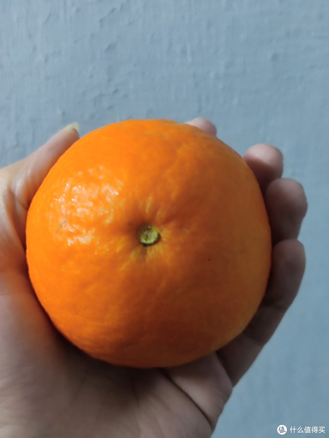 果冻橙真是最好吃的橙子。