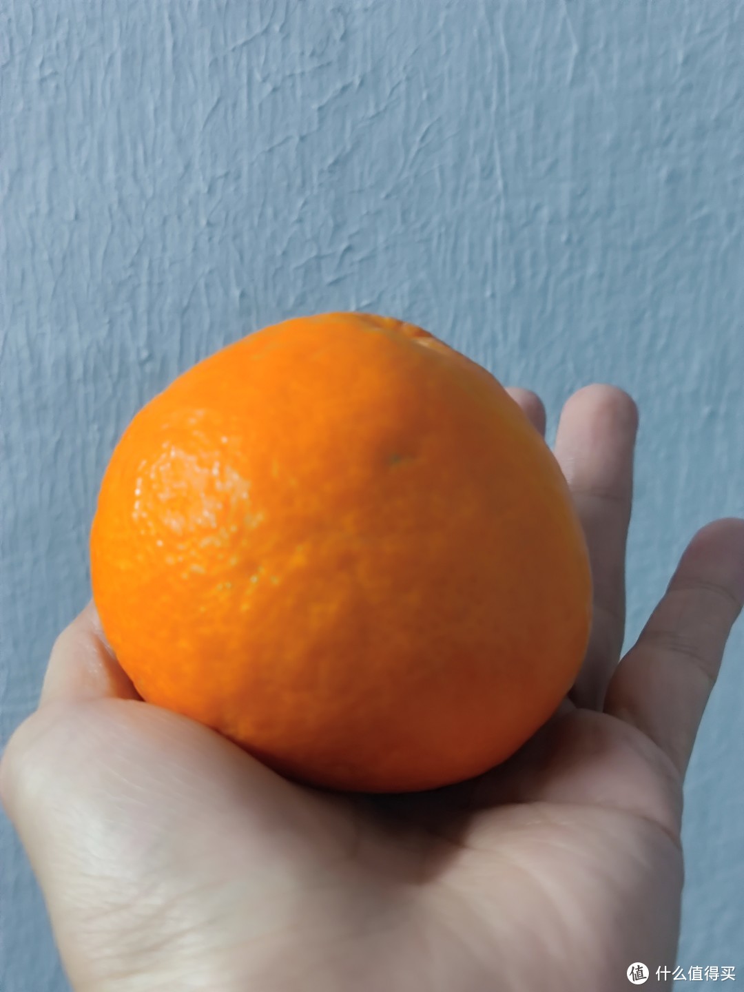 果冻橙真是最好吃的橙子。