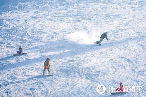 冬天怎么能少得了去滑雪呢