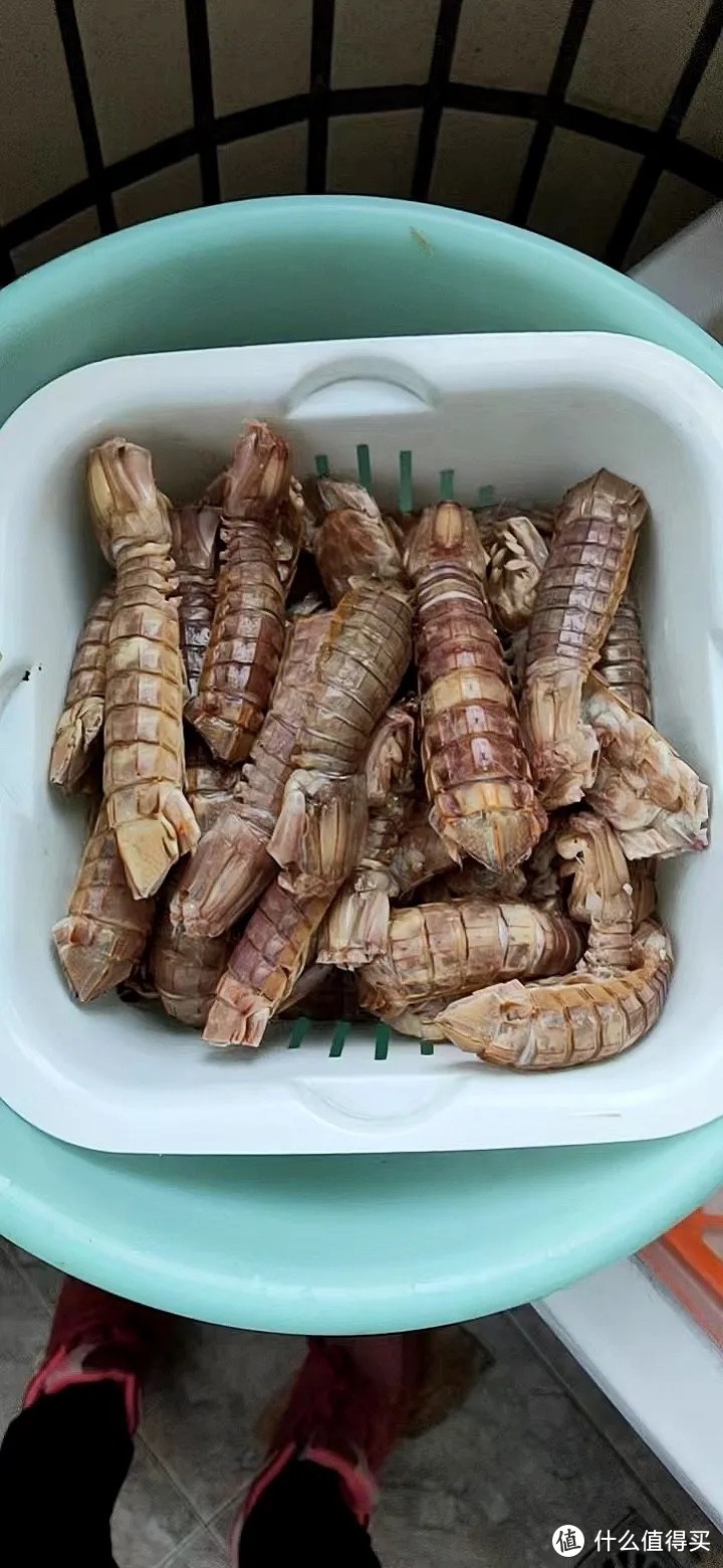 皮皮虾肉质肥厚鲜美，好吃