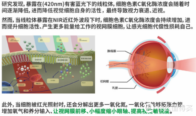 护眼灯不懂别乱买！有NIR红光更护眼，爱德华天使之光2实测