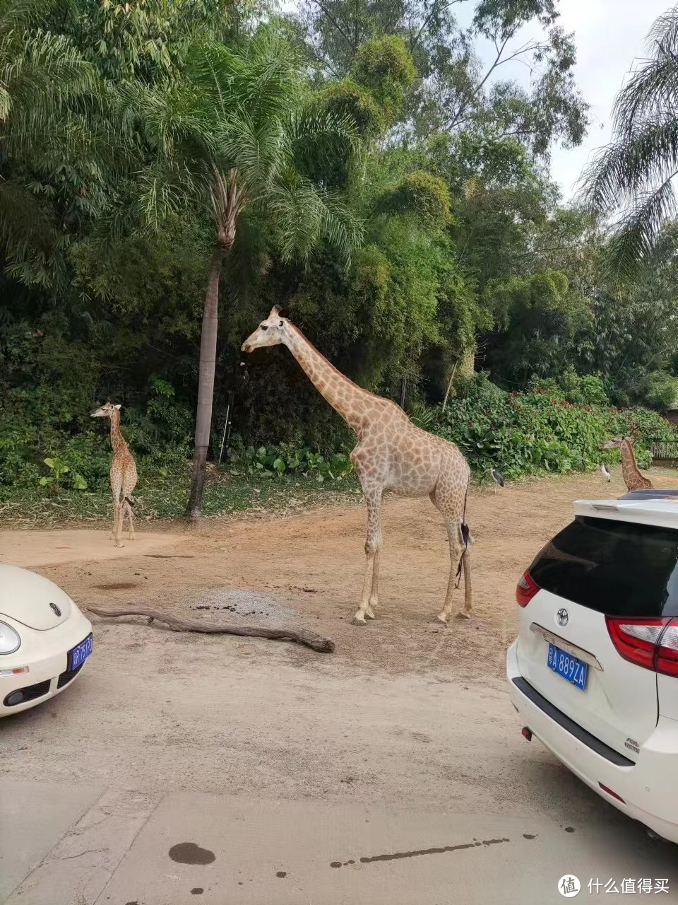 情人节怎么过？出去约会游玩最好了