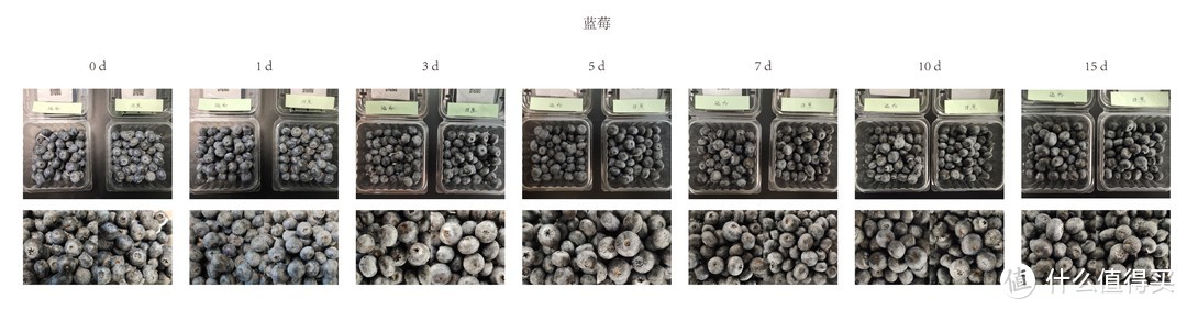 囤货啦，入手一台TCL格物Q10分子保鲜科技冰箱叭