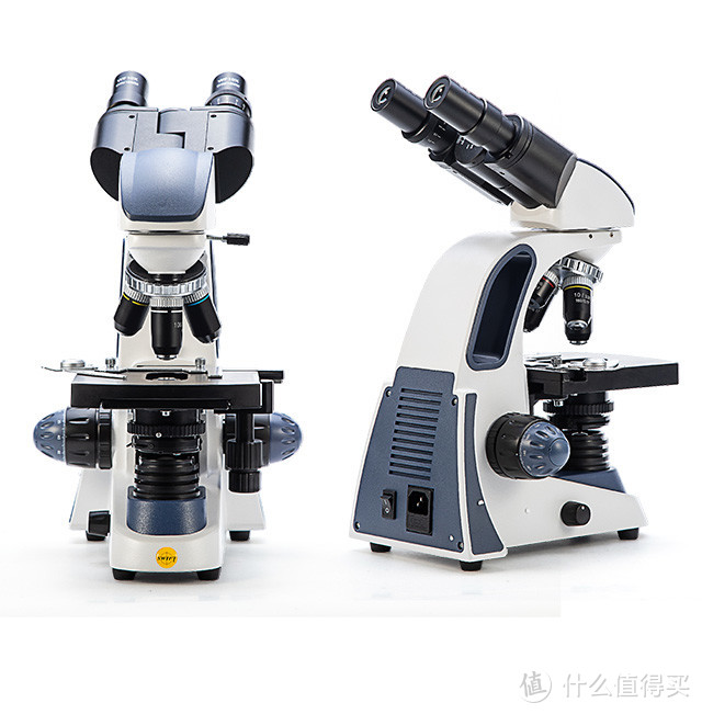 由生物学纪录片引发的热爱——我的显微研学之路。