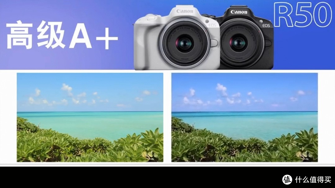 仅售4599 相机计算摄影佳能 EOS R50正式发布