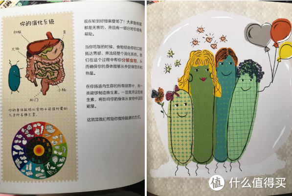 小学生开学拓展书读书什么？~20本榜单必读书籍推荐给你收藏备用！