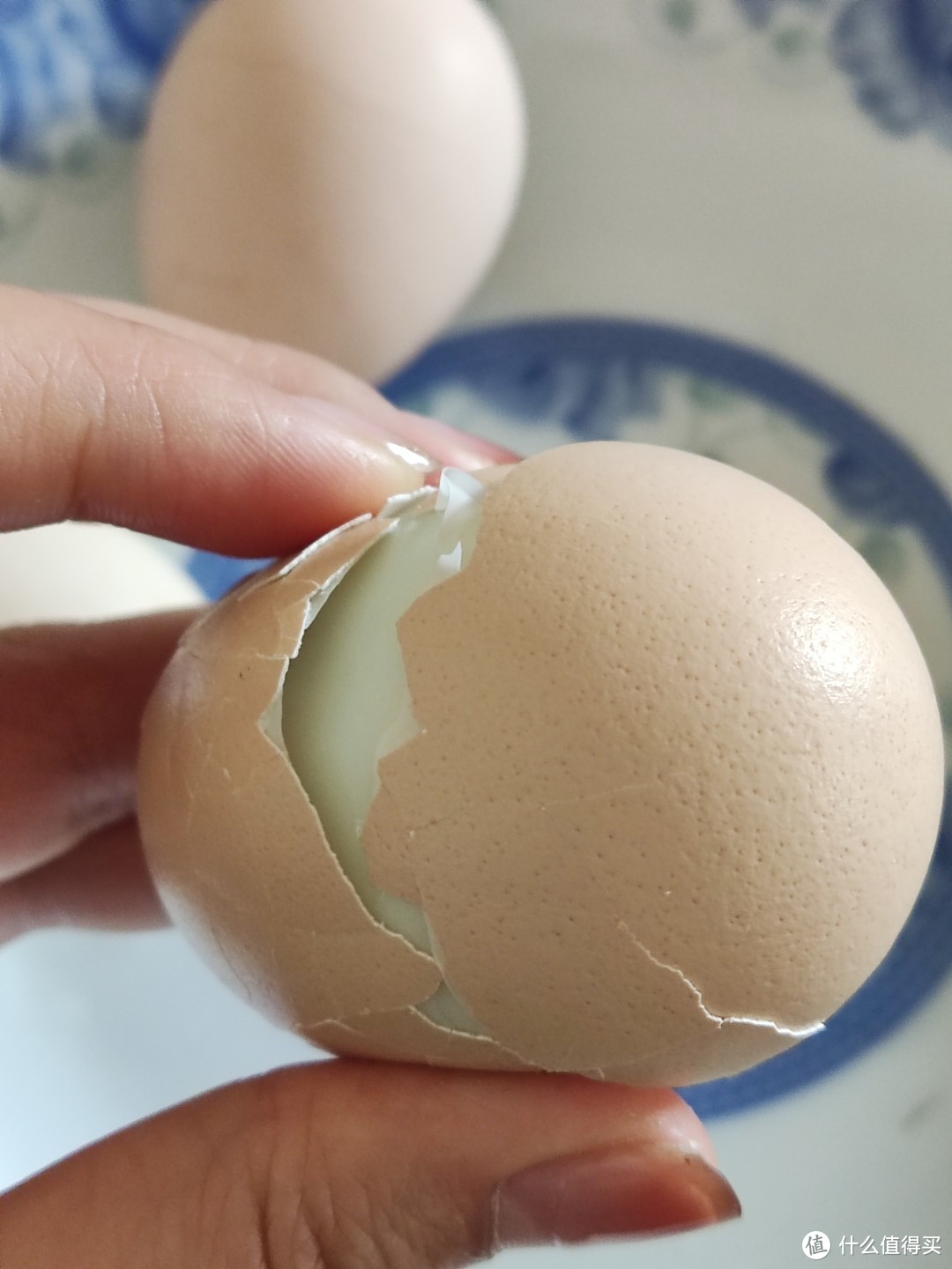 为什么自家养的鸡下蛋会好吃很多?