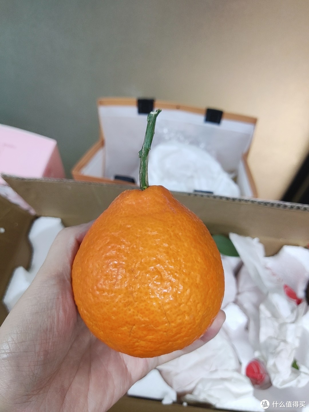 果冻橙子，你真的值得去试试