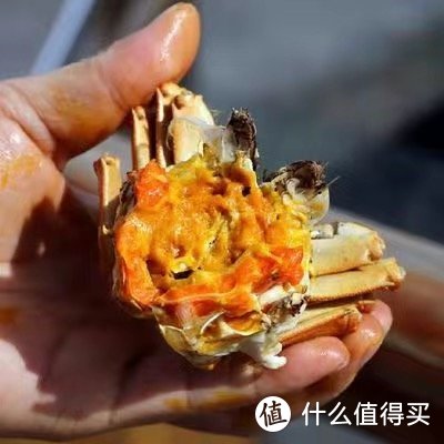 食品生鲜元宵佳节吃螃蟹