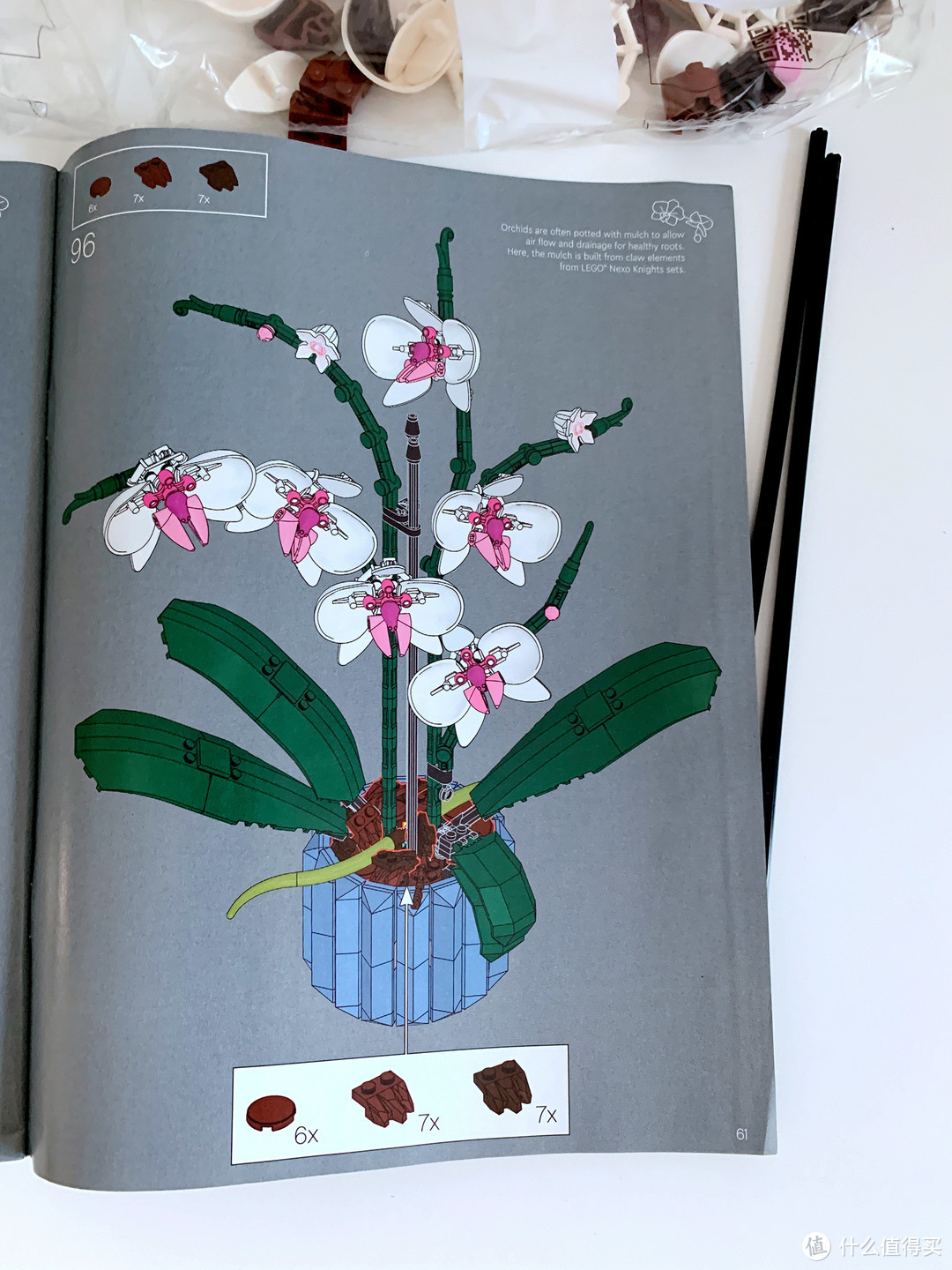 最值得入手的乐高花卉---Botanical Collection植物收藏系列 10311 兰花