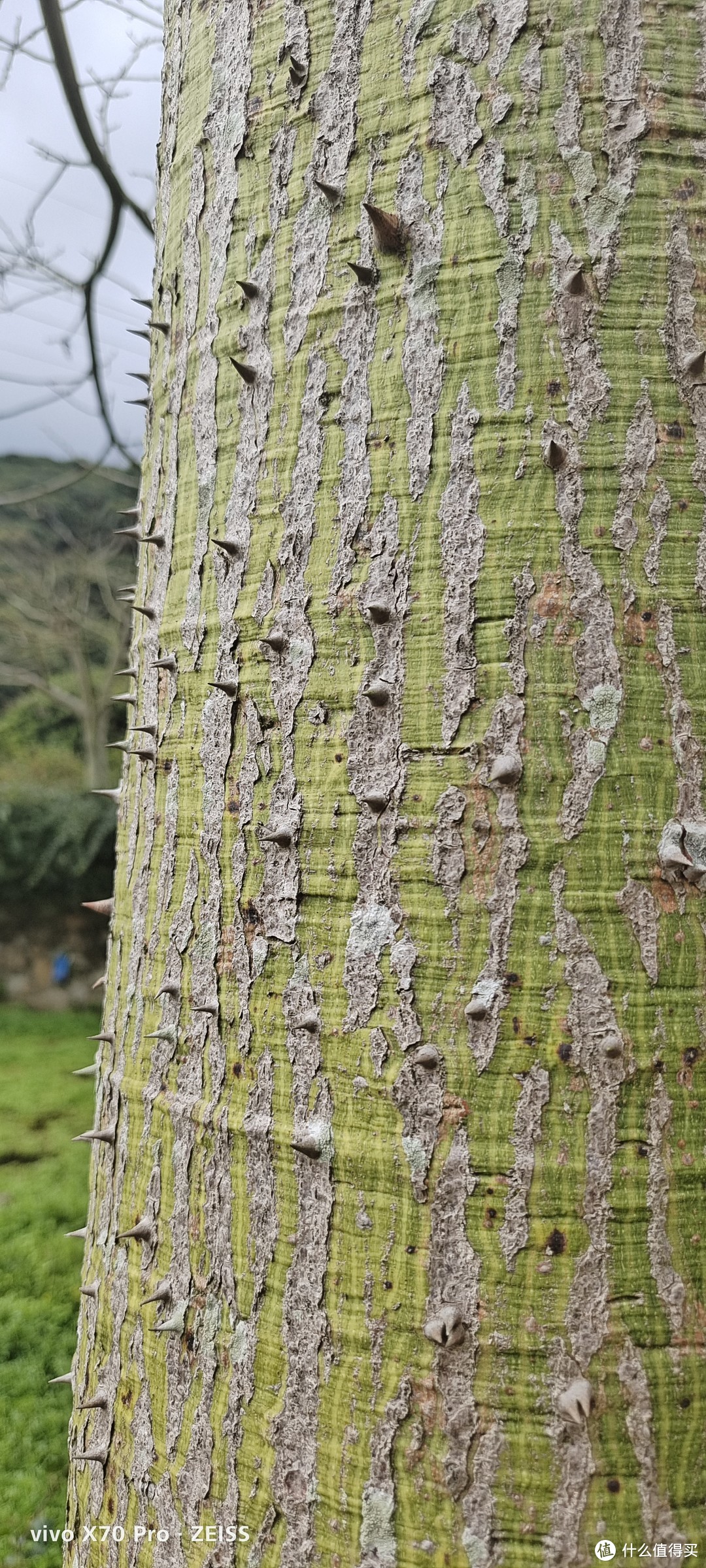 广州周边1小时车程的宝藏景点，赏桃花，溯溪抓鱼，吃特产，亲子游好去处