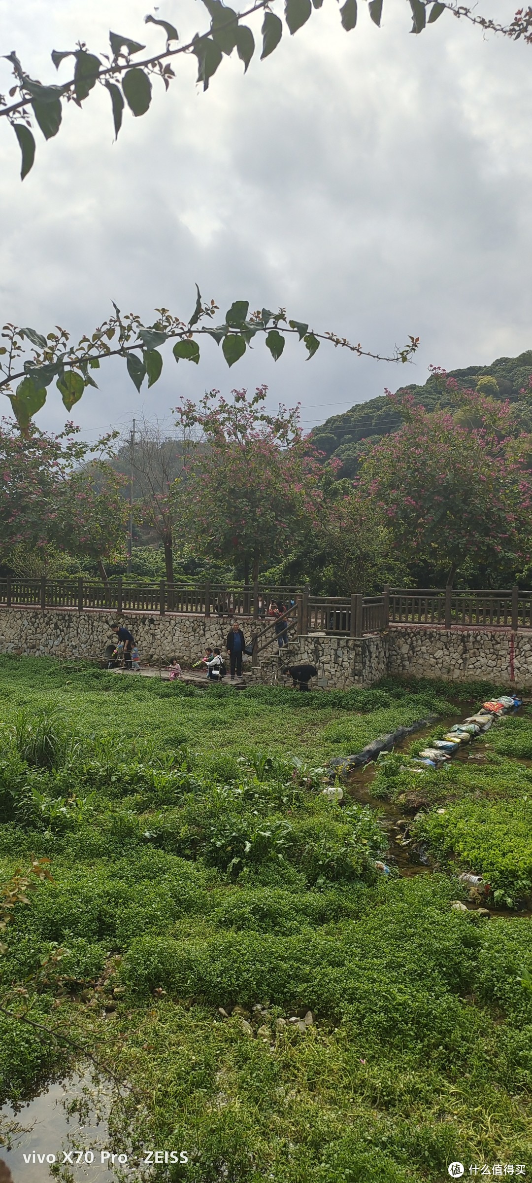 广州周边1小时车程的宝藏景点，赏桃花，溯溪抓鱼，吃特产，亲子游好去处