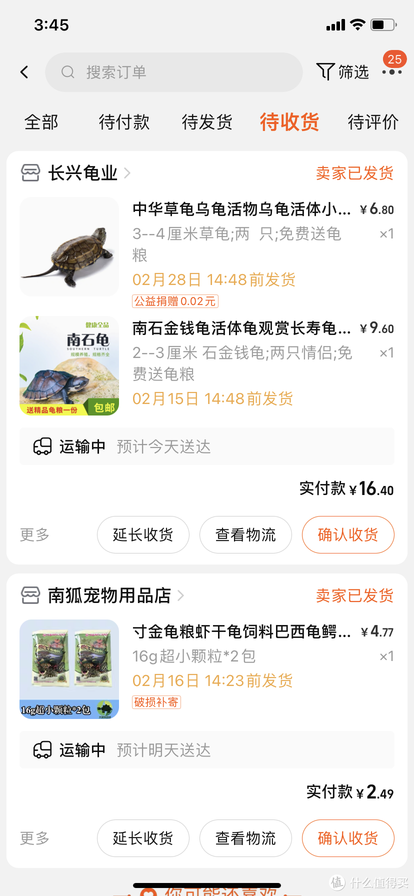情人节买了4只乌龟给老婆，希望可以把她感动哭……