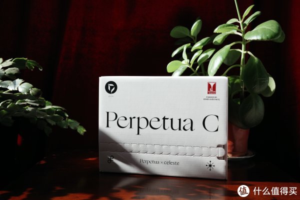 小邱尝新 篇二十八：买不起也要拆，开箱dita perpetua c