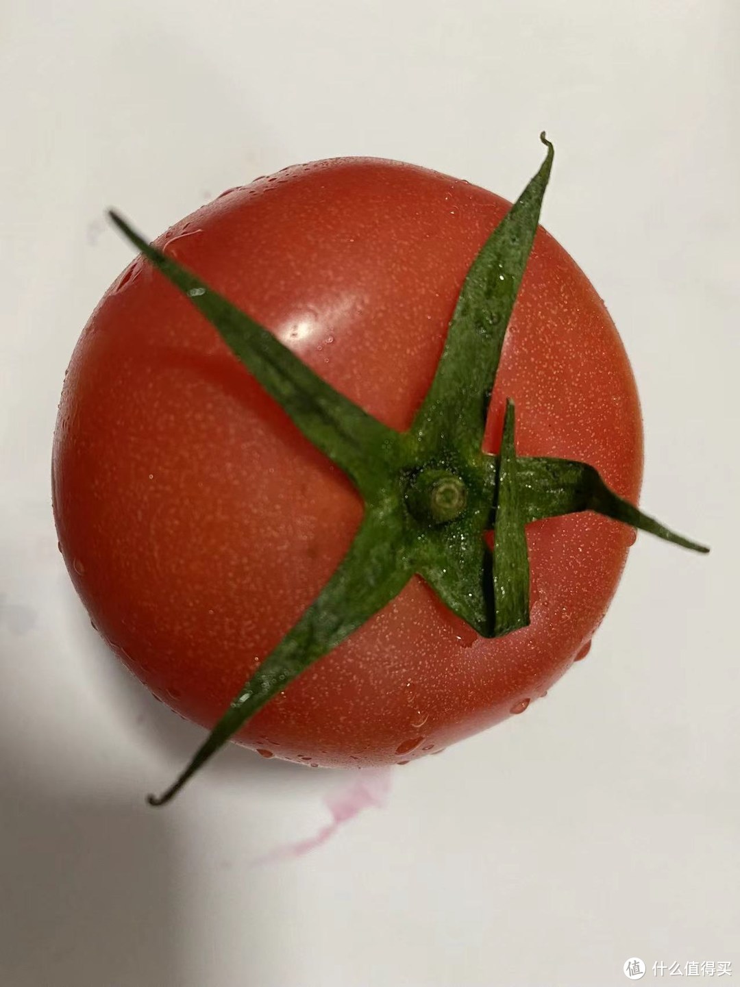 西红柿怎么选？“贵族”普罗旺斯沙瓤多汁老少皆宜