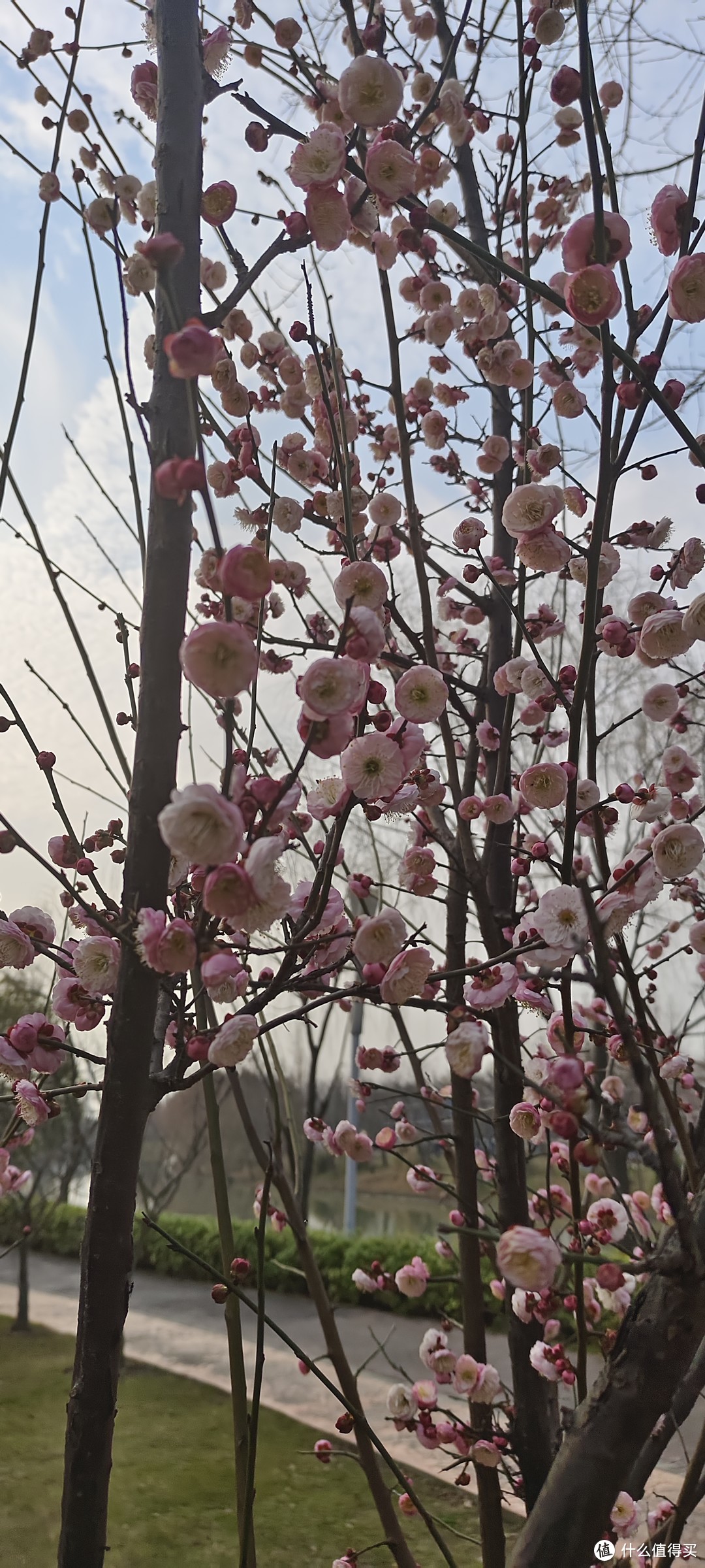 奇迹花园/浦东郊野公园/游记/免费的有儿童游乐设施很多，而且也很高级呀