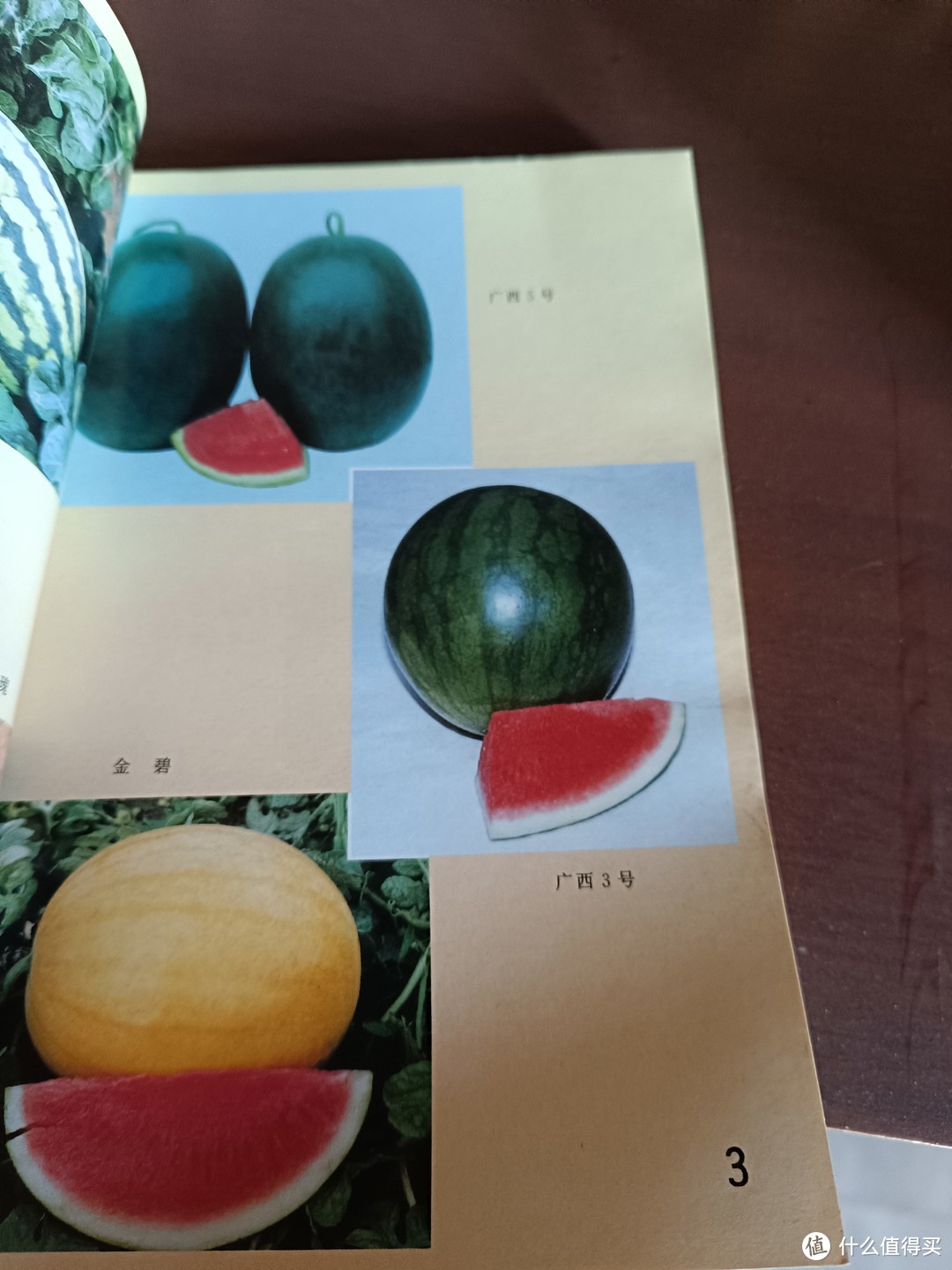 吃瓜群众的重要教材，怎么吃到好吃的无籽西瓜？