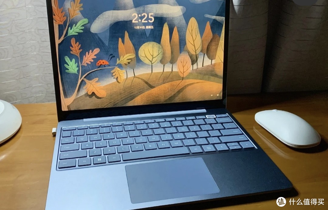 surface laptop go2