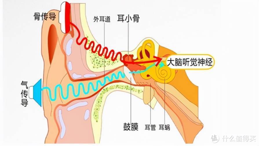 跑步路上好伙伴，南卡Runner Pro 4