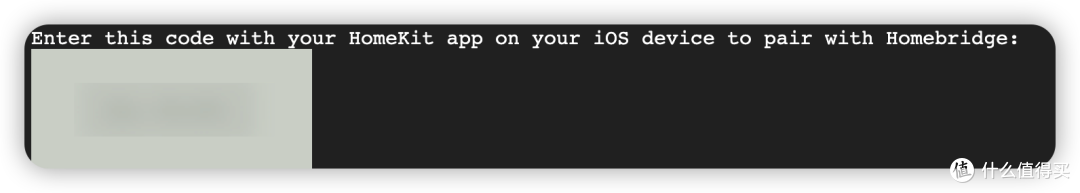 homebridge UI中的展示的配对码